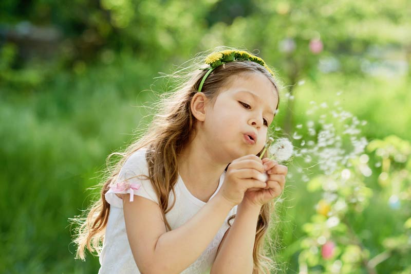 Girl blowing on dandelion allergy free