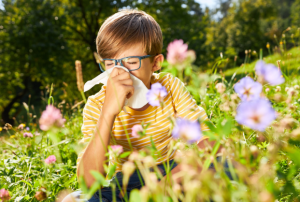 boy sneezing while sitting in flowers